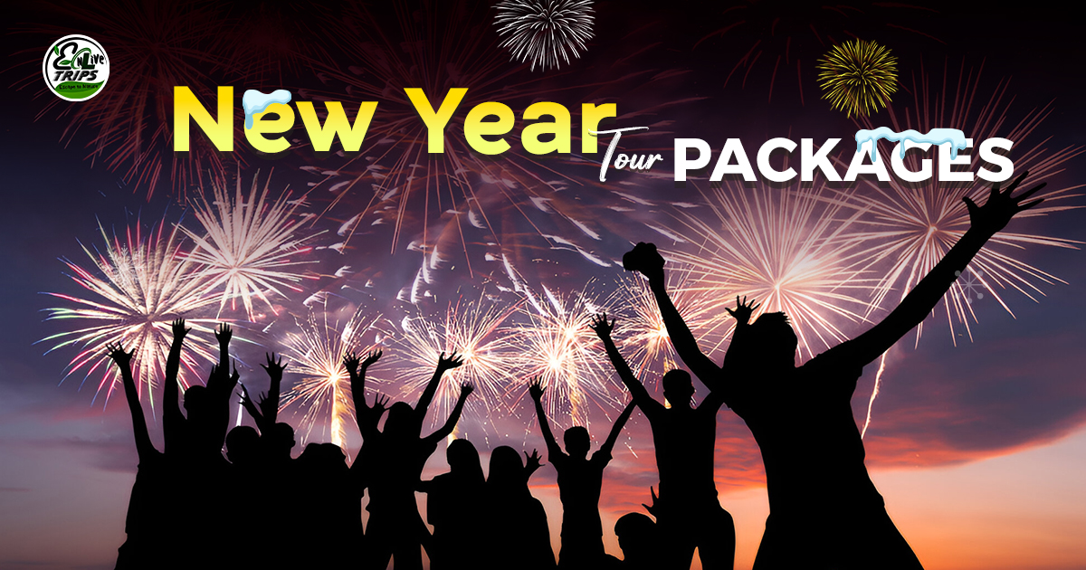 best destination to visit on new year in India  2026